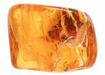 Fossil Spider Web In Baltic Amber - Rare! #69268-1
